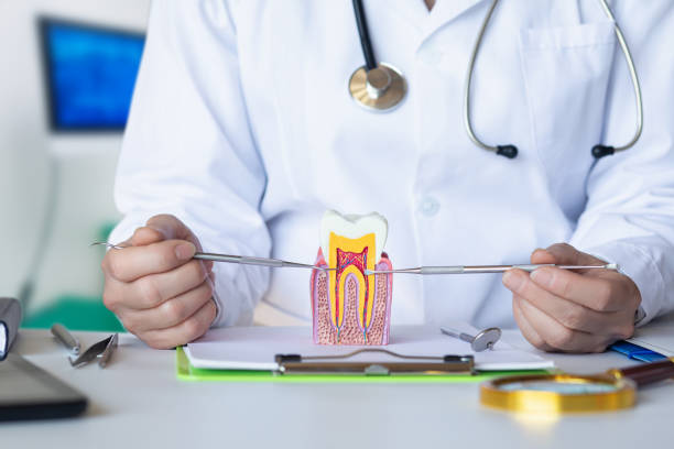Best Pediatric Emergency Dentist in Coopersville, MI